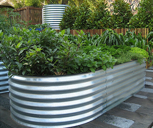 Raised Steel Garden Beds With Plants